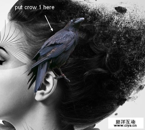 jcCrow92428