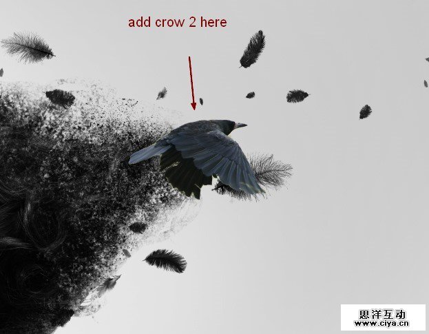 jcCrow92432