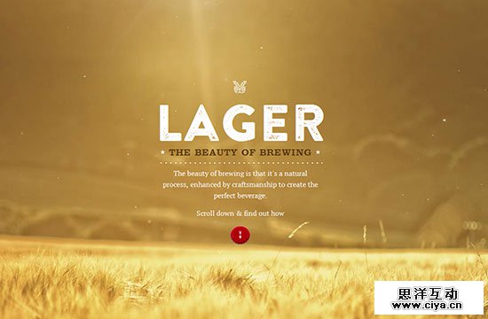 Creative Single Page Website Design