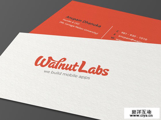 精美绝伦！30款充满创意的商务名片设计