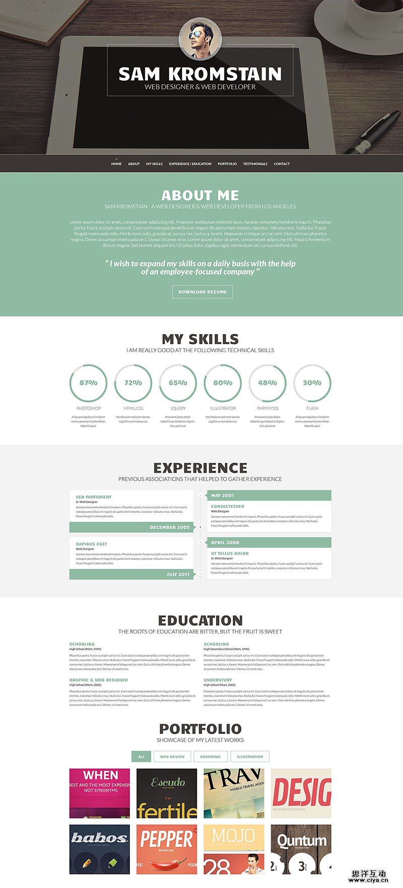 Web Developer CV WordPress Theme