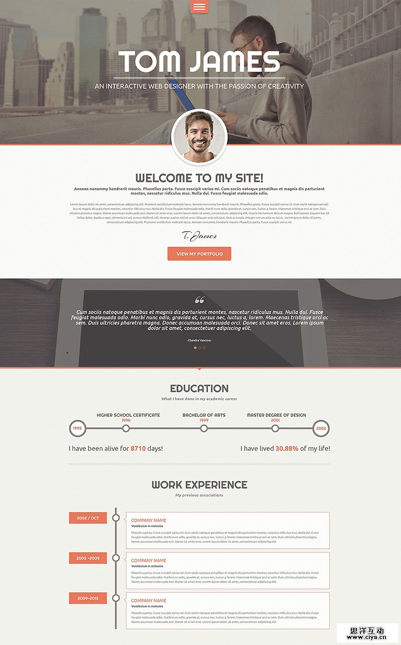 Web Designer CV WordPress Theme