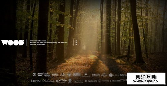 活色生香！16款使用视频背景网页欣赏