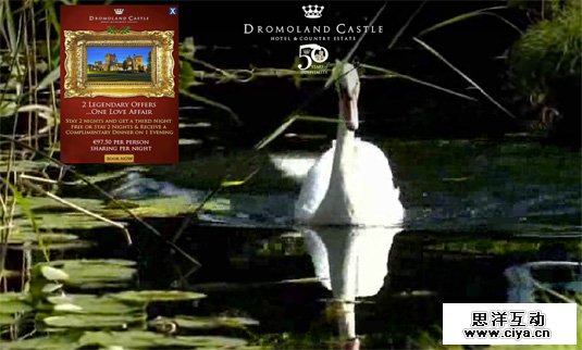 活色生香！16款使用视频背景网页欣赏