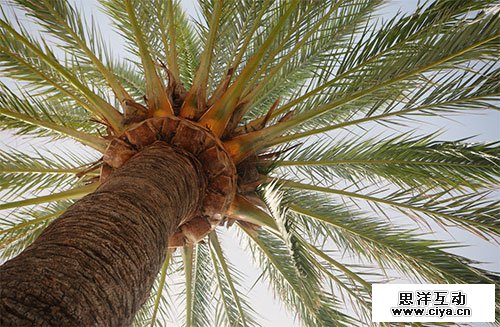 免费高清！10个无版权限制的大图特供网站