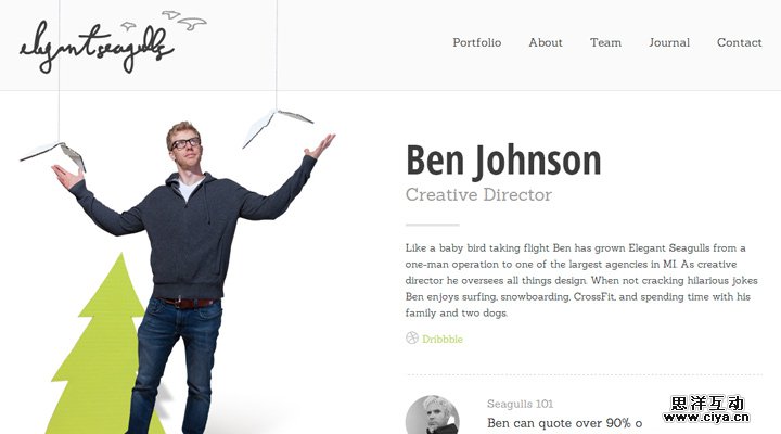 elegant seagulls webpage team members list