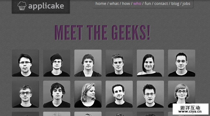 applicake team website layout design inspiring