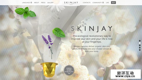 30 Fantastic Examples of Parallax Scrolling Websites