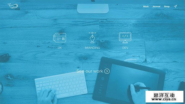 Underbelly Creative Co.