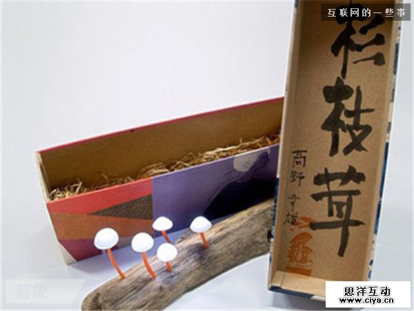 仿生设计：来自大自然的创意,互联网的一些事