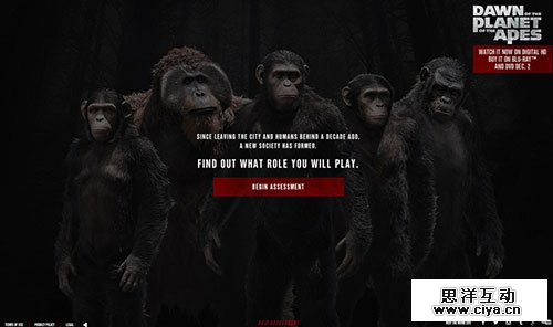 Moments Before Dawn 网页设计欣赏