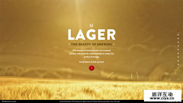 The Beauty of Brewing