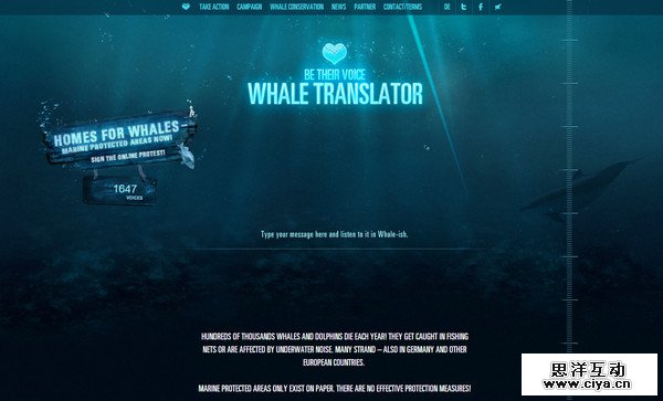 Whale Translator