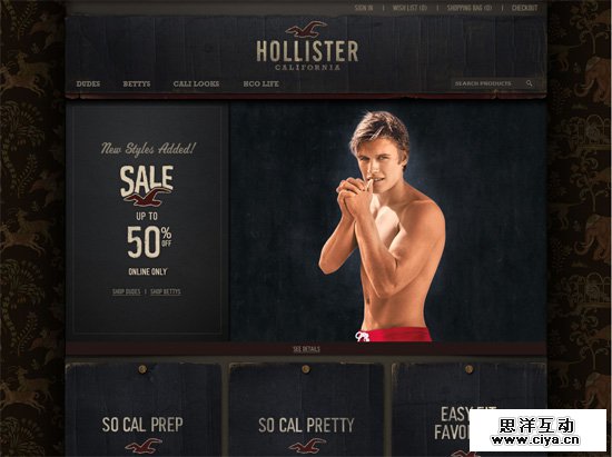 Textured website design example: Hollister Co.