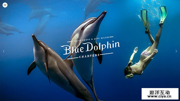 Blue Dolphin Charters