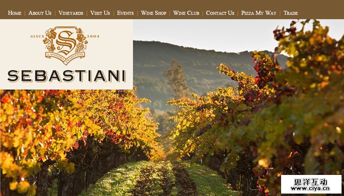 11-sebastiani-clean-vineyard-website