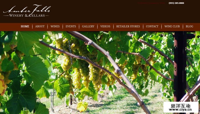 29-amber-falls-winery-cellars-homepage