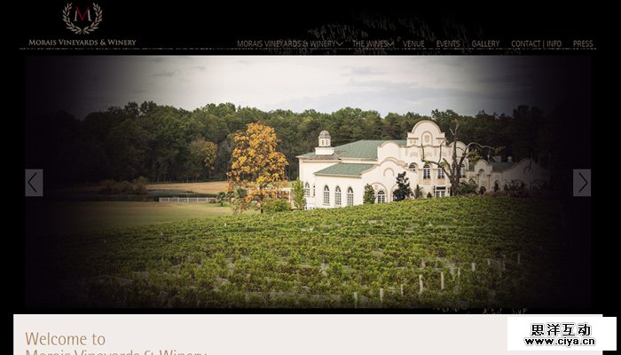 23-morais-vineyards-winery-homepage-dark