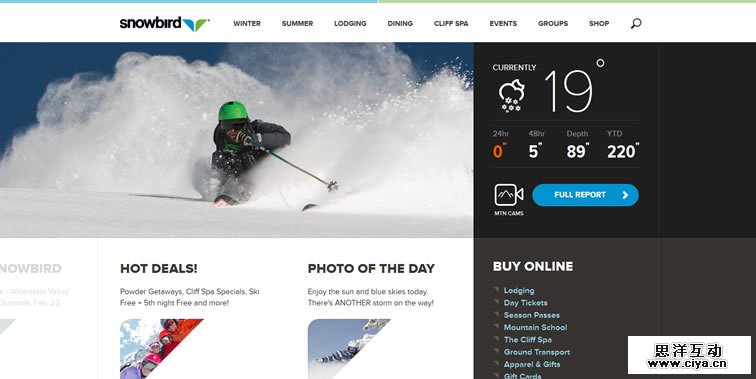 Snowbird homepage clean web design modern responsive web inspiration
