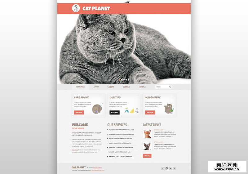 4-WordPressPetTheme