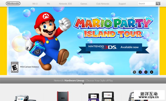 nintendo entertainment