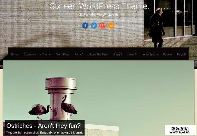 Sixteen WP theme 