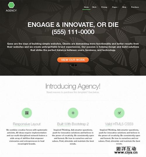 CSS3HTML5Templates-4