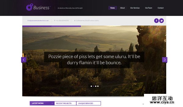 Business in 30 Fresh and Free PSD Website Templates