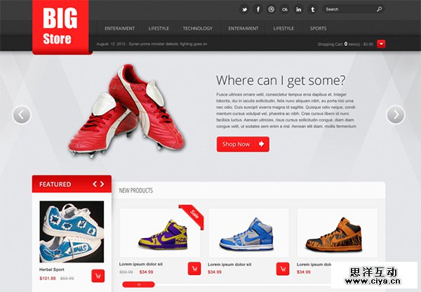 Big Store in 30 Fresh and Free PSD Website Templates