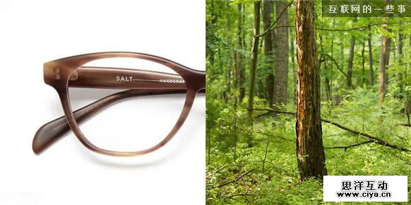 最美好的设计源于自然,互联网的一些事