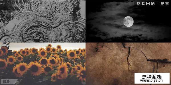 最美好的设计源于自然,互联网的一些事