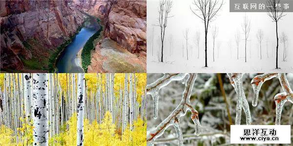 最美好的设计源于自然,互联网的一些事