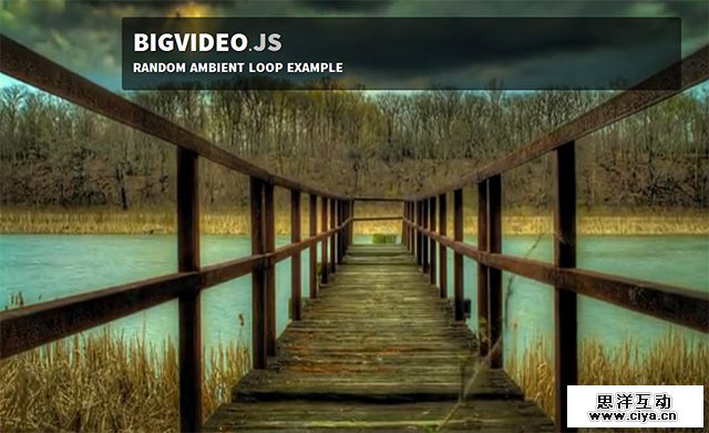 video-background-website5