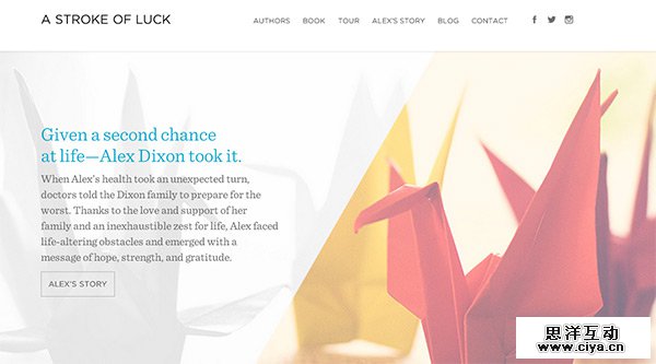 A Stroke of Luck in 35 Minimalistic Website Designs for December 2013