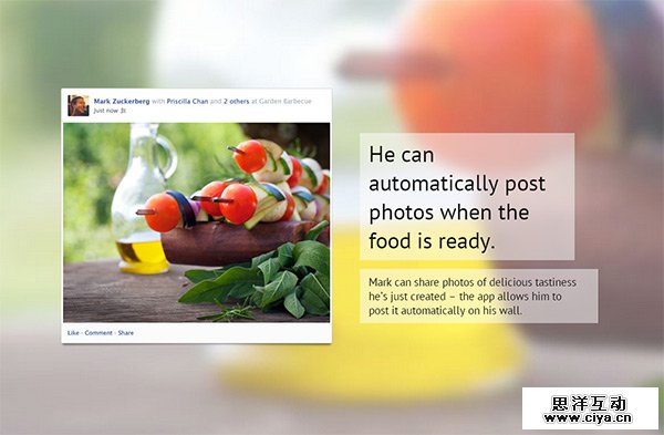 The Facebook Grill in 35 Minimalistic Website Designs for December 2013