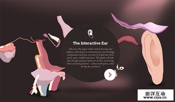 Amplifon in 35 Examples of Vector Illustrations in Web Design