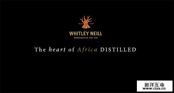 Whitley Neill in 50 Dark Web Designs for Inspiration