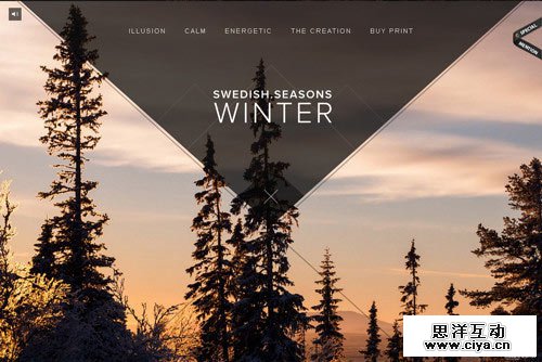 Swedish Seasons
