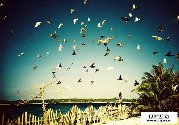 Photography Blog on Tumblr