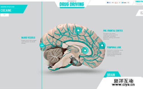 The Dangers of Drug Driving
