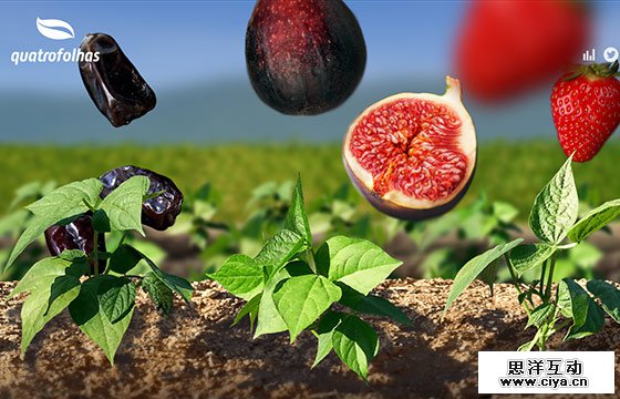 Creative One Page Website Design