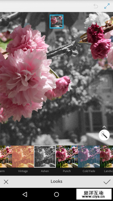 kkl2emq8ncdtae9cngumu22eb891bzhxhjxzcvnhvbkiolt4ir19hayfmtzstgl4rhwh900