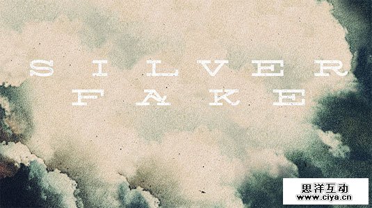 SilverFake SilverFake