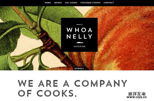 whoa nelly catering homepage layout design
