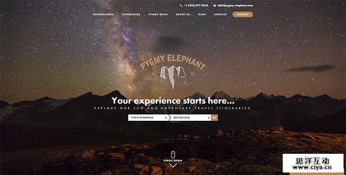 pygmy-elephant.com_