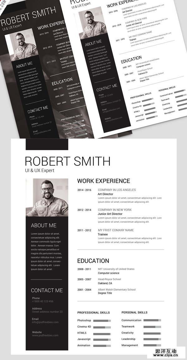 009_free_cv_resume_template