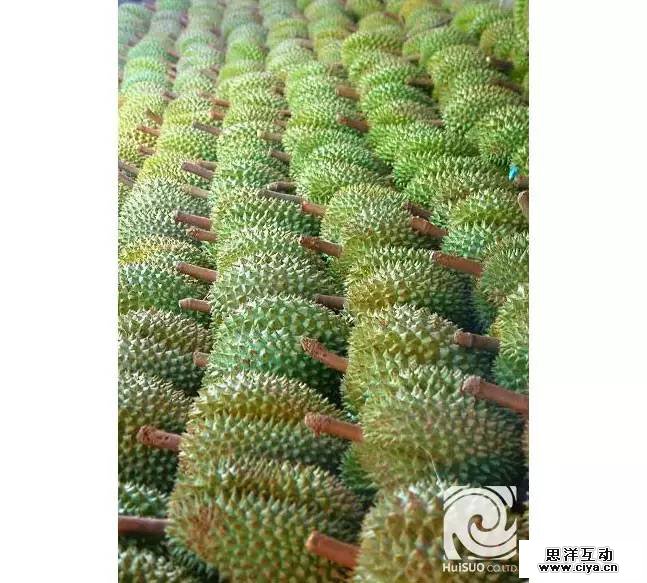 undefined a68d57a9f2820000018c1beb2a24.jpg