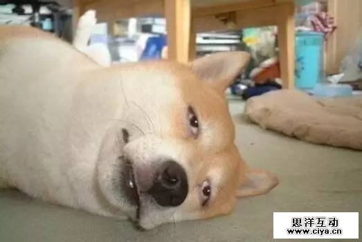 undefined 639f57a9ee2e0000012e7eccddad.jpg