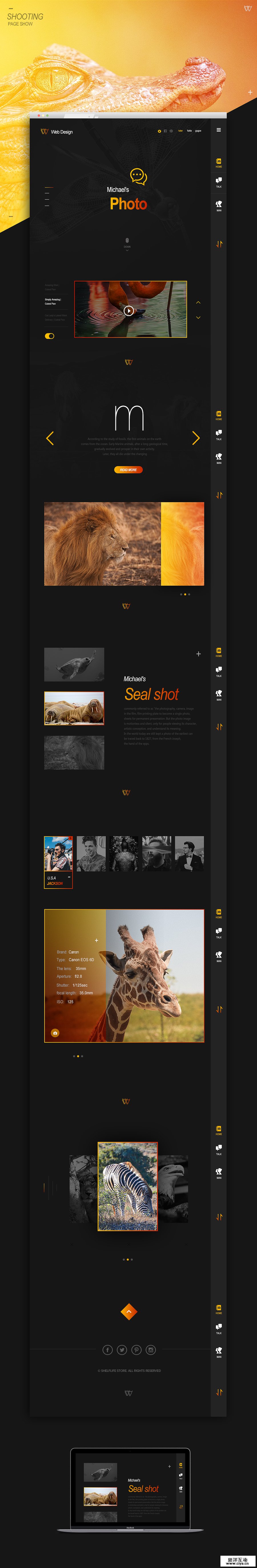 查看《摄影题材网页排版/Photography theme page layout》原图，原图尺寸：900x5483